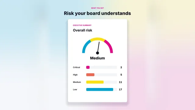 Executive summary page of a Sumrite sample VAPT report showing overall risk and findings by severity